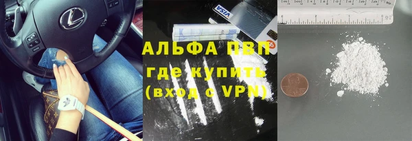 ГАЛЛЮЦИНОГЕННЫЕ ГРИБЫ Белокуриха