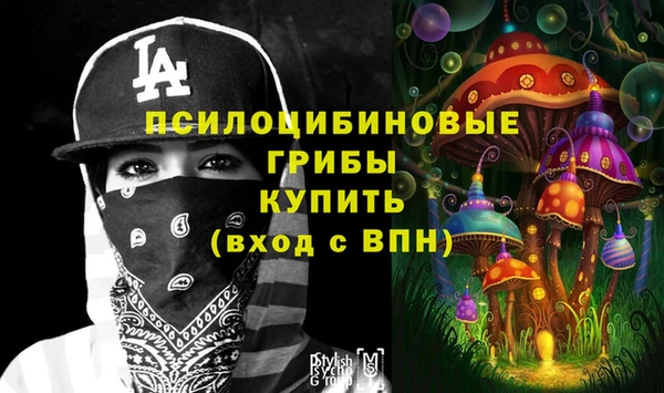 ГАЛЛЮЦИНОГЕННЫЕ ГРИБЫ Белокуриха