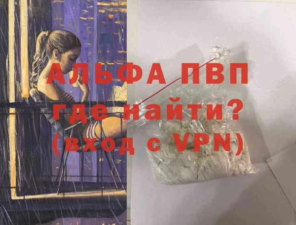 прущие грибы Приозерск