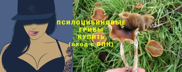 mdpv Баксан