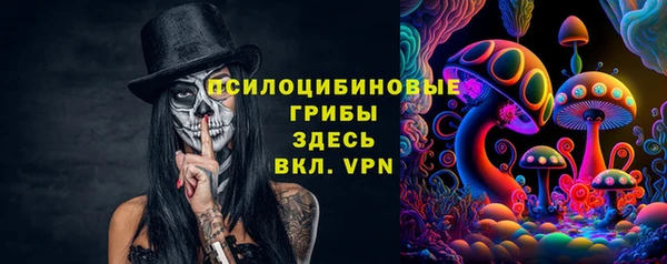 прущие крисы Беломорск