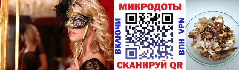 Галлюциногенные грибы Psilocybine cubensis Краснокаменск
